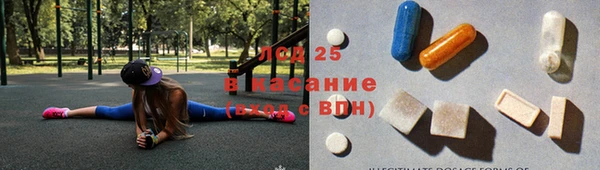 молекула духа Козельск