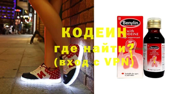 молекула духа Козельск
