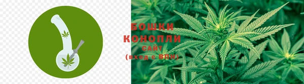 ALPHA-PVP Кинешма