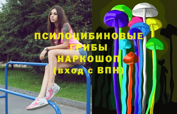 молекула духа Козельск