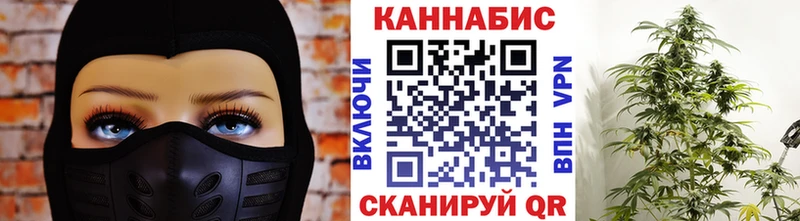 Шишки марихуана сатива  Мелеуз 